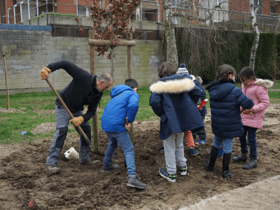 Plantation participative avec les écoliers madeleinois