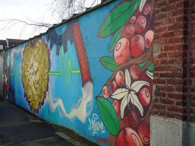 Photo de la fresque de Sancé (collectif Epsilone), 2019 © Ville de La Madeleine